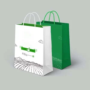 Custom Printed Paper Bags