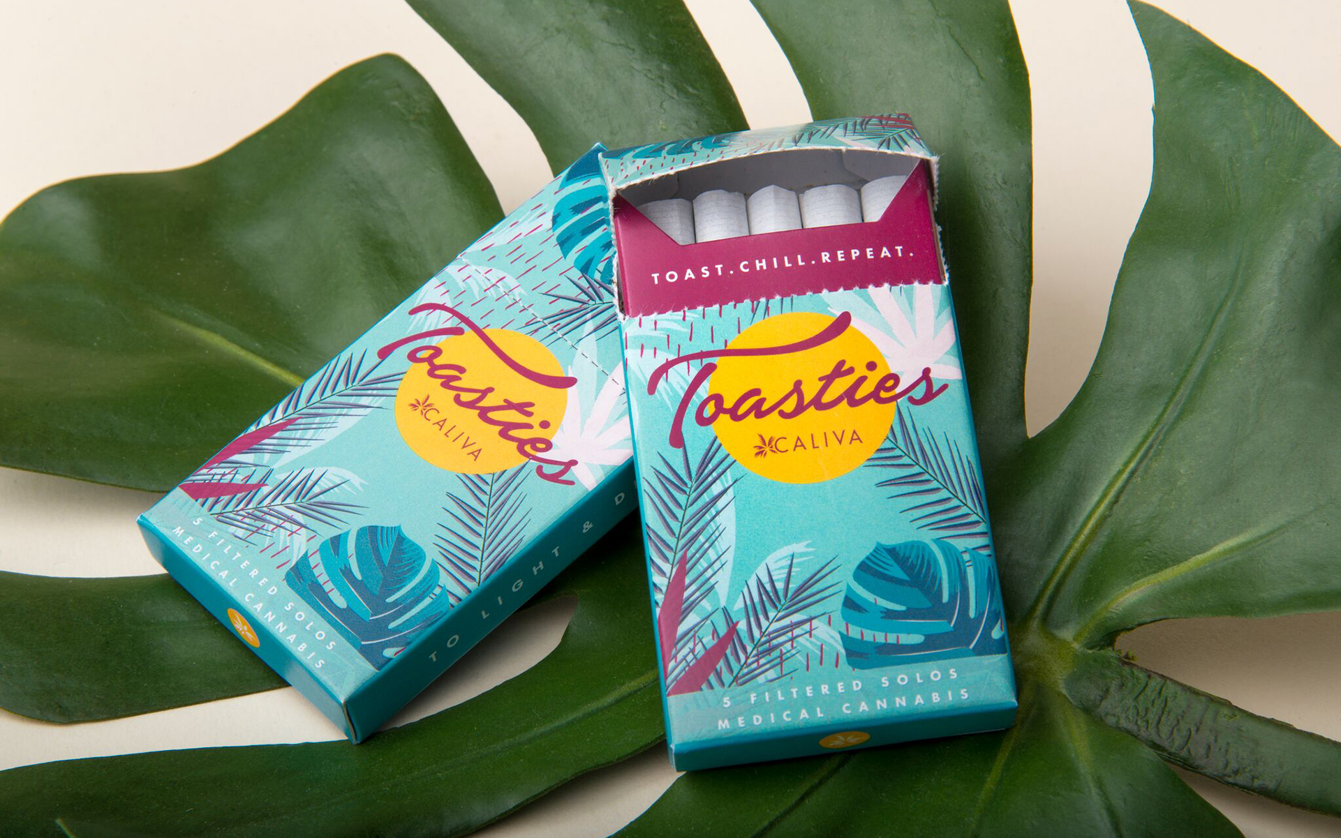 pre-roll-design-header